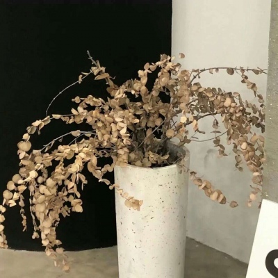 Furry角色比例设计技巧兽圈社群